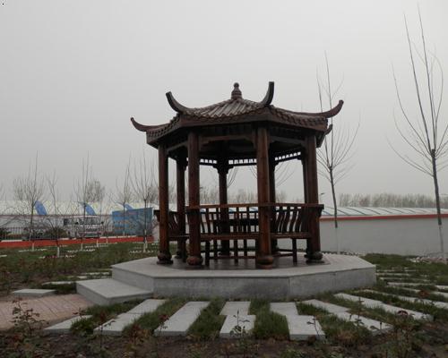 您好,欢迎来到大连青城艺景园林景观工程有限公司